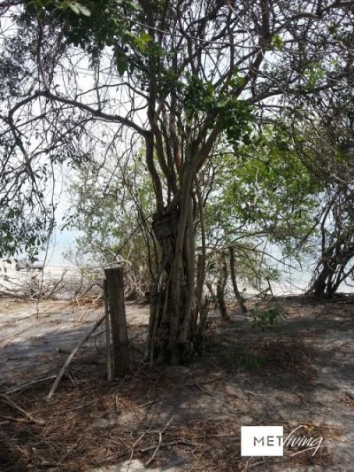 103419 - Rio hato - lots