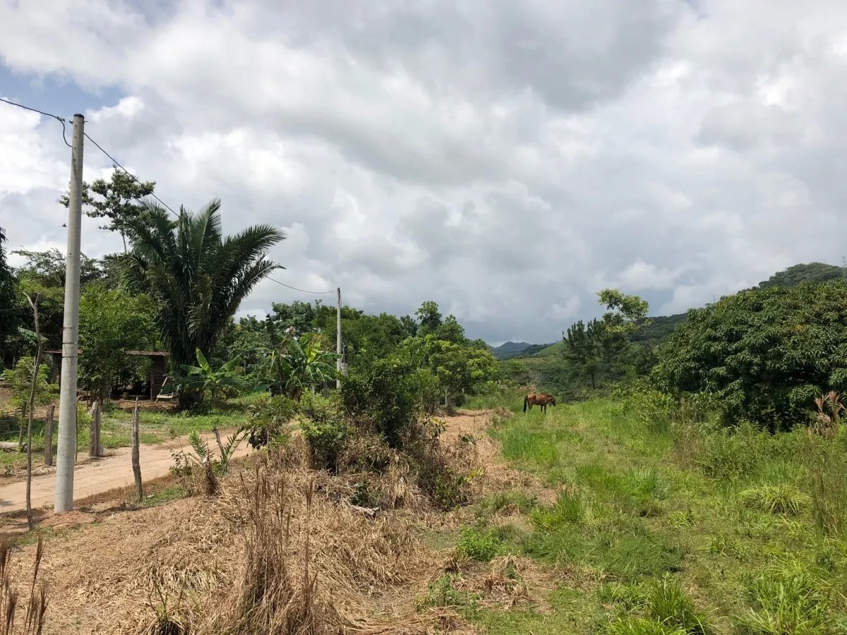 Lote de Casa en Venta en La Pintada