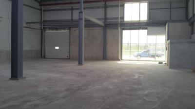 114660 - Tocumen - warehouses - zona uno