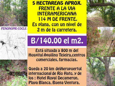 12545 - Penonomé - lots