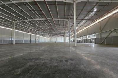 133796 - 24 de diciembre - warehouses