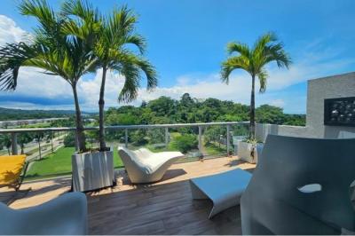 134462 - Panama pacifico - properties