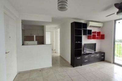 135301 - Juan diaz - apartamentos - ph mystic blue