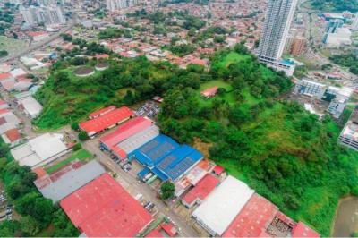 135556 - Pueblo nuevo - properties