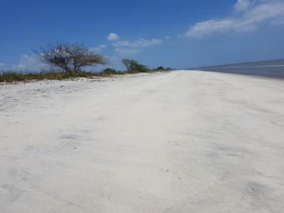 136916 - Punta chame - properties