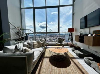 136952 - Hato pintado - properties