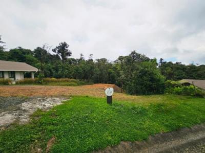 137049 - Altos del maria - properties