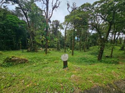 137050 - Altos del maria - properties