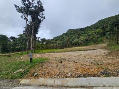 137053 - Altos del maria - properties