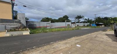 137171 - Nuevo arraijan - properties