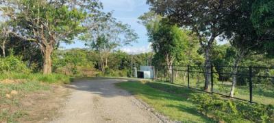 137279 - Boquete - lots