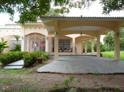 137326 - Chame - casas