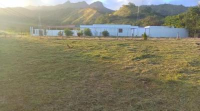 137333 - Coronado - lots