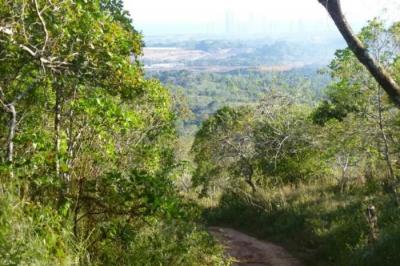 137364 - Tocumen - properties
