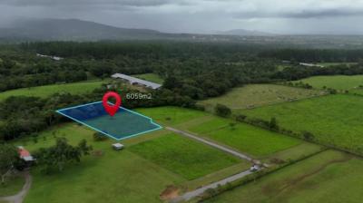 137395 - Potrerillos - lots