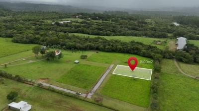 137397 - Potrerillos - lots