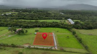 137398 - Potrerillos - lots