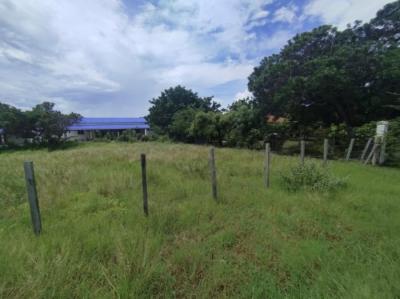 137412 - Punta chame - properties