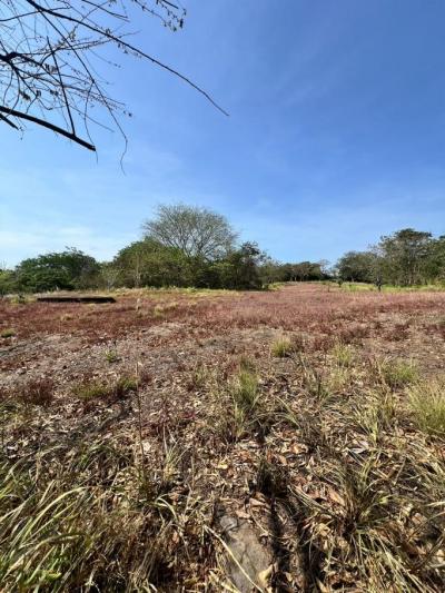 137505 - San carlos - properties