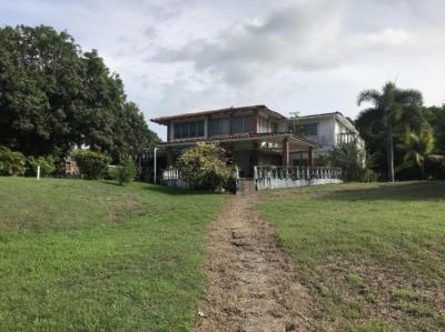 137829 - Playa gorgona - casas