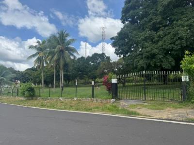 137854 - La Chorrera - apartments