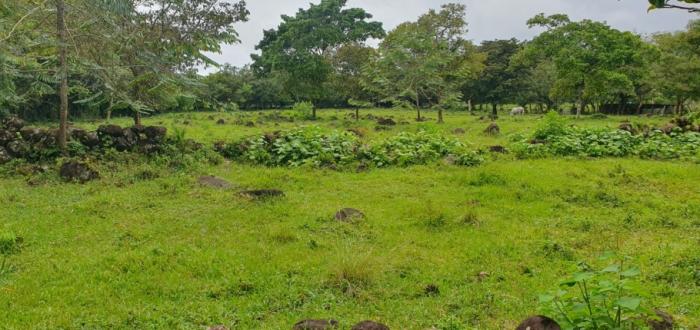 Venta de lotes en las cañas en chiriquí