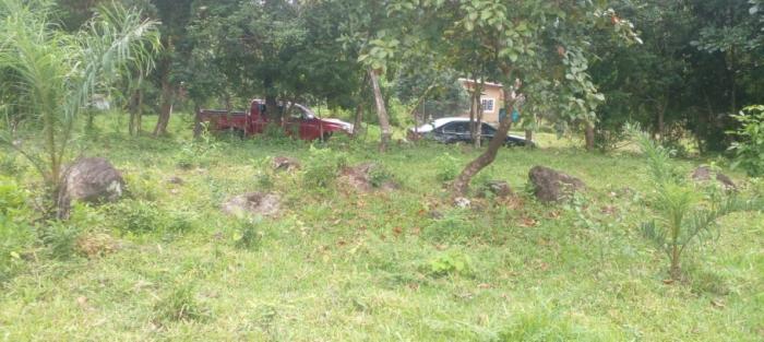 Venta de lotes en las cañas en chiriquí