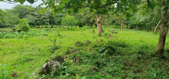 Venta de lotes en las cañas en chiriquí