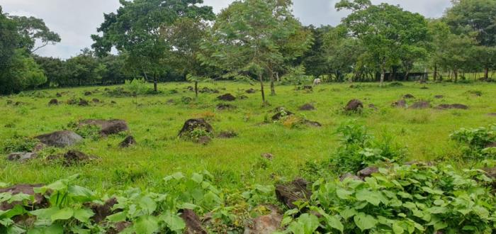 Venta de lotes en las cañas en chiriquí