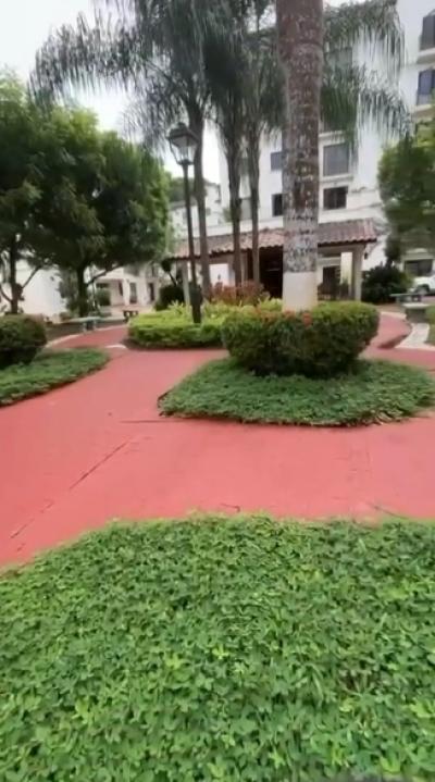 137942 - Albrook - apartamentos