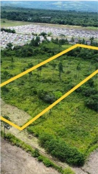 137950 - Boquete - propiedades
