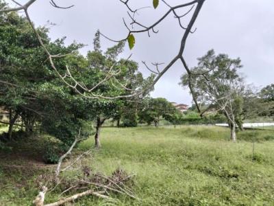 137982 - Boquete - lots