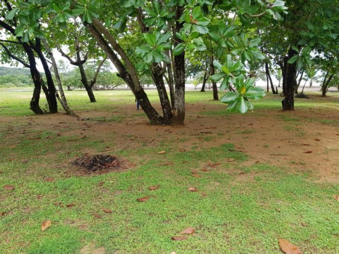 Venta de terreno frente al mar en colón, nombre de dios