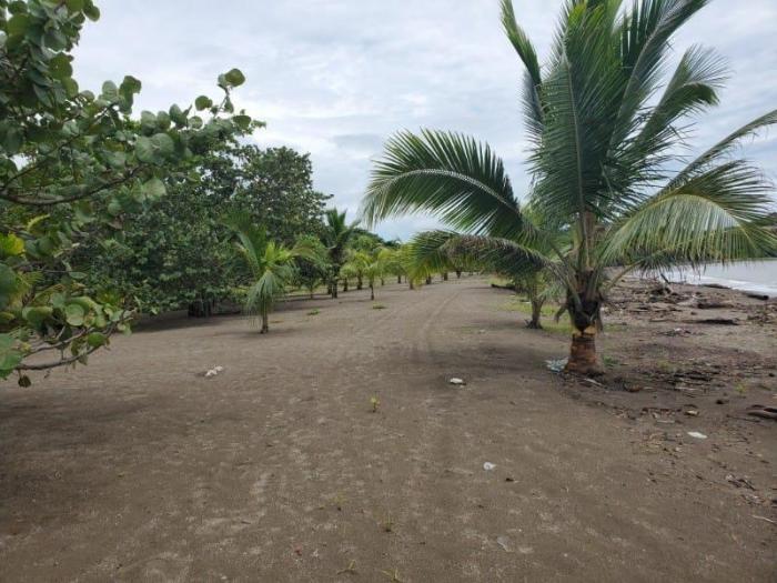 Venta de terreno frente al mar en colón, nombre de dios