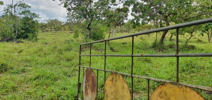 Venta de finca de 31 hectáreas en rovira