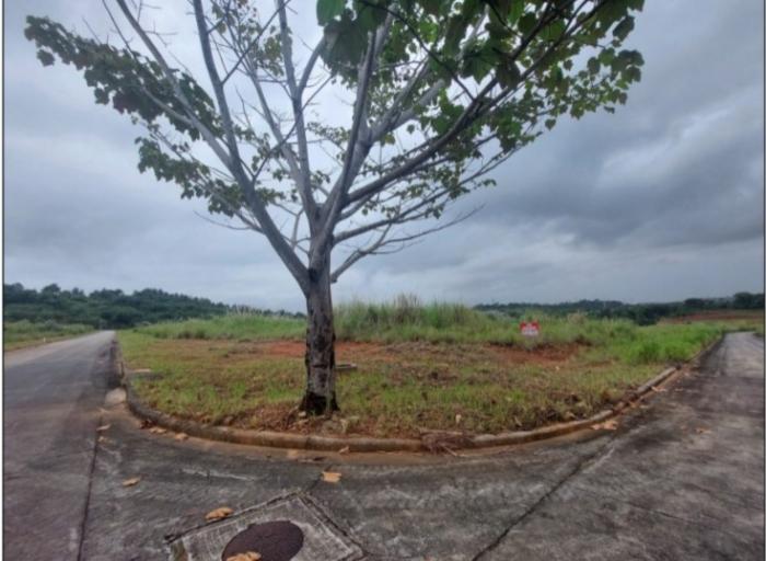 Venta de terreno en green valley, corregimiento de pedregal