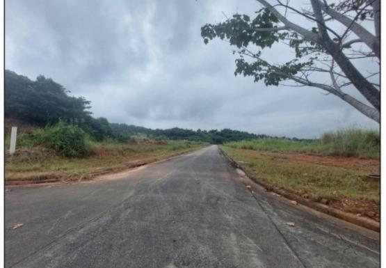 Venta de terreno en green valley, corregimiento de pedregal