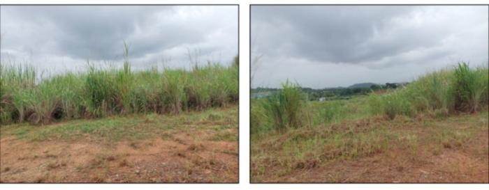 Venta de terreno en green valley, corregimiento de pedregal