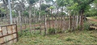 Venta de finca ganadera en rovira dolega