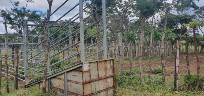 Venta de finca ganadera en rovira dolega