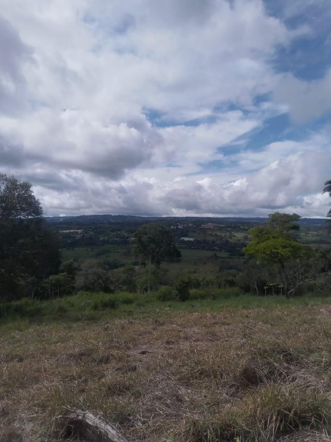 Venta de finca de cafe y platano en rio sereno 