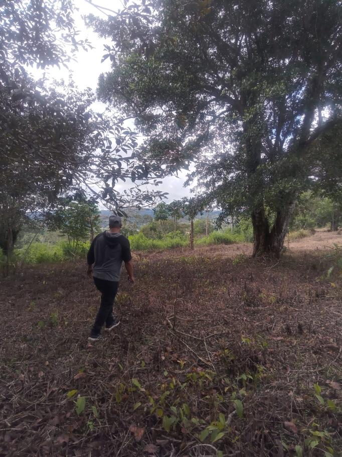 Venta de finca de cafe y platano en rio sereno 