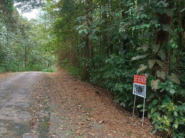 Terreno a la venta en cerro azul/land for sale in cerro azul 