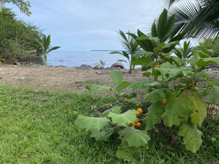 3 hectares of caribbean oceanfront in miramar 