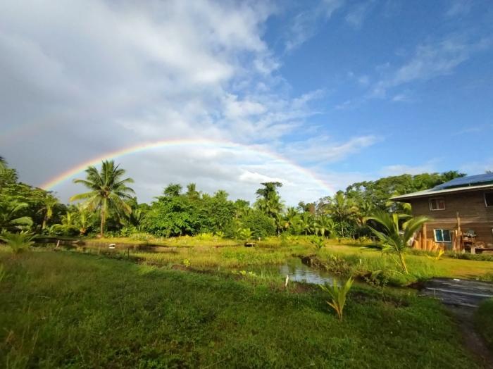 3 hectares of caribbean oceanfront in miramar 