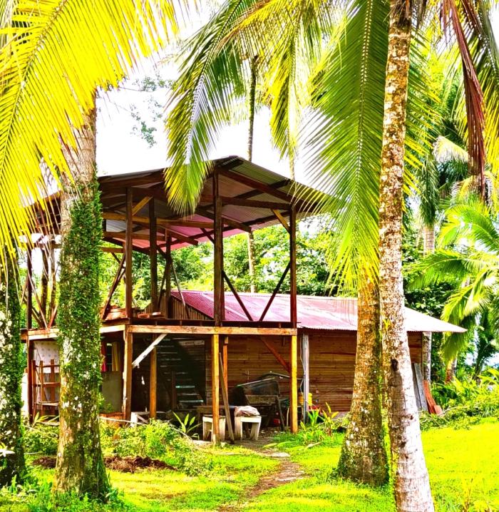 3 hectares of caribbean oceanfront in miramar 