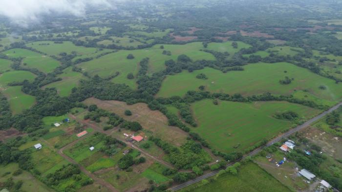 Venta de finca en pedasí, los santos