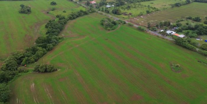 Venta de finca en pedasí, los santos