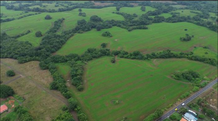 Venta de finca en pedasí, los santos