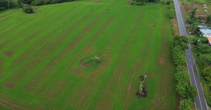 Venta de finca en pedasí, los santos